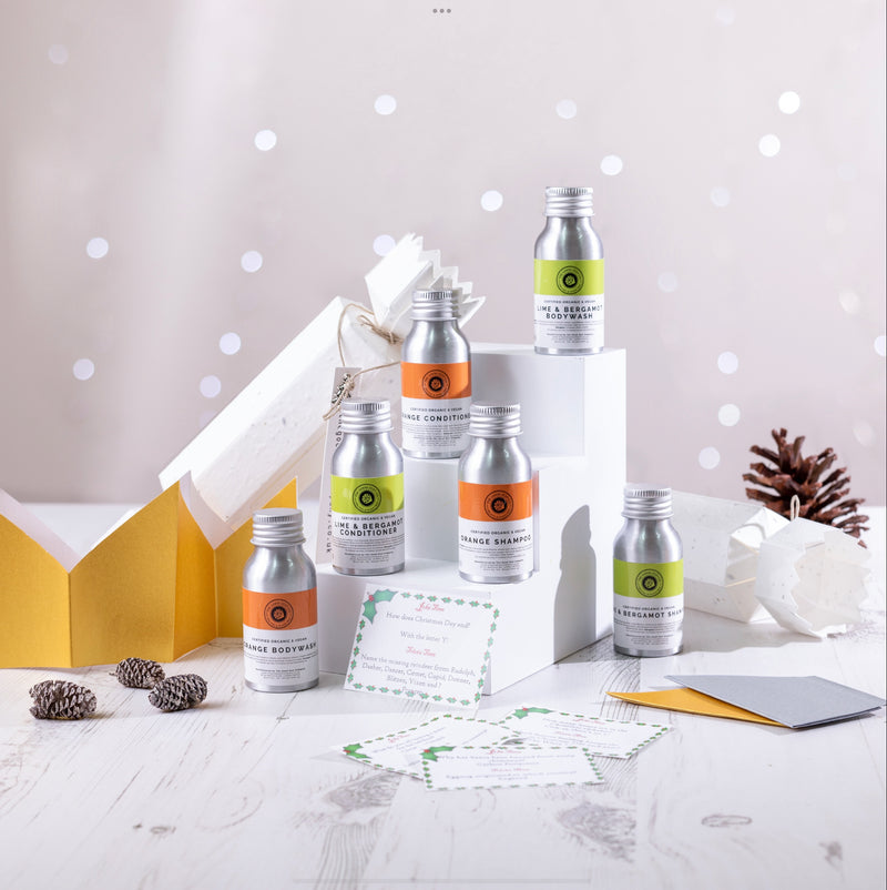 ‘Single’ Plantable Christmas Cracker Gift